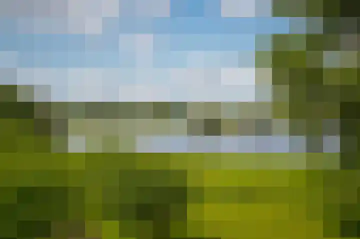 Rijnbandijk 26 Opheusden thumbnail 36