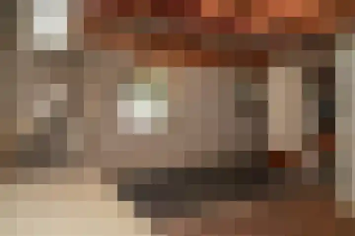 Rijnbandijk 26 Opheusden thumbnail 37