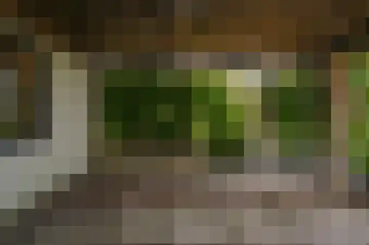 Rijnbandijk 26 Opheusden thumbnail 41