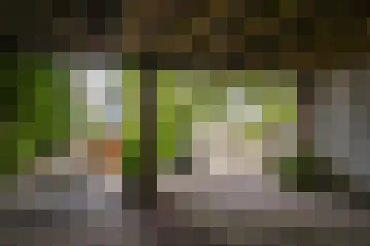Rijnbandijk 26 Opheusden thumbnail 42