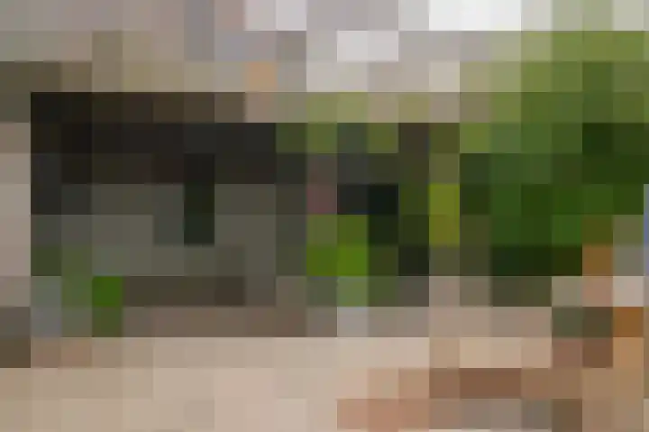 Rijnbandijk 26 Opheusden thumbnail 43