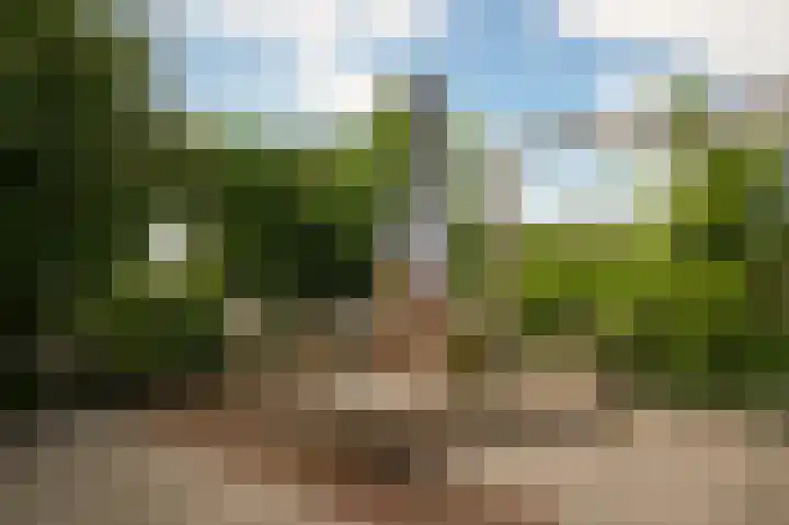 Rijnbandijk 26 Opheusden thumbnail 44