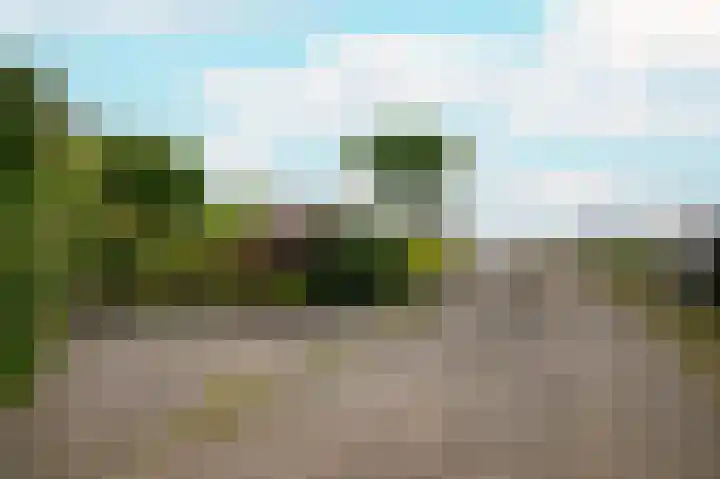 Rijnbandijk 26 Opheusden thumbnail 46