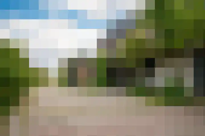 Rijnbandijk 26 Opheusden thumbnail 47