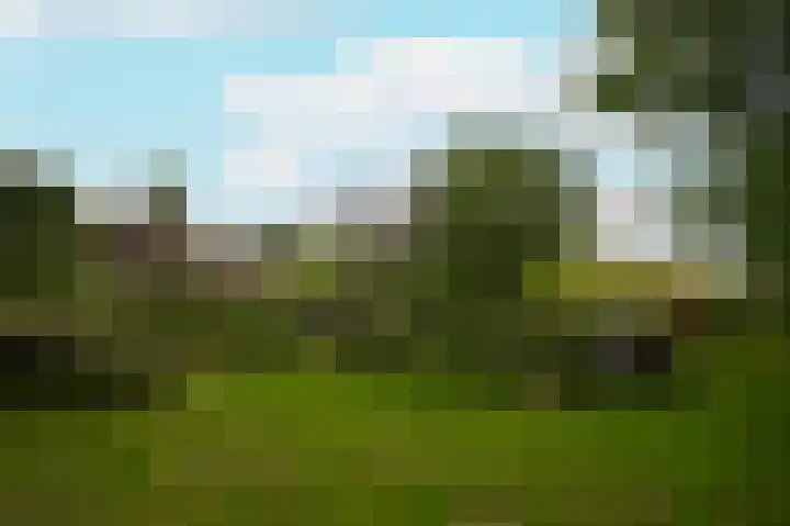 Rijnbandijk 26 Opheusden thumbnail 49