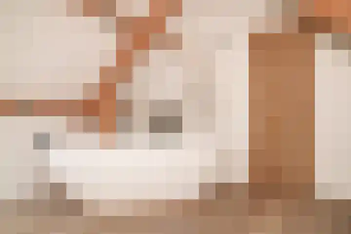 Rijnbandijk 26 Opheusden thumbnail 5