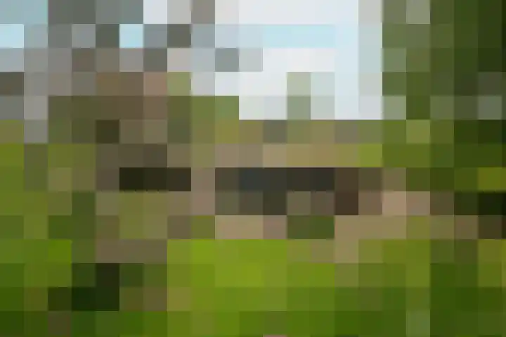 Rijnbandijk 26 Opheusden thumbnail 50