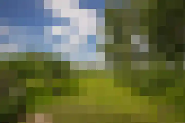 Rijnbandijk 26 Opheusden thumbnail 51