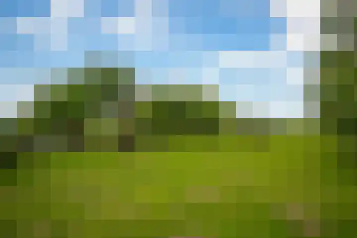 Rijnbandijk 26 Opheusden thumbnail 52