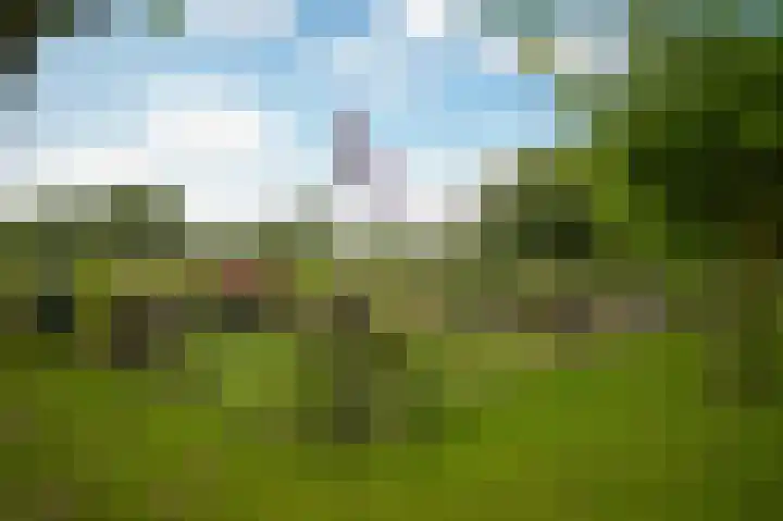 Rijnbandijk 26 Opheusden thumbnail 53
