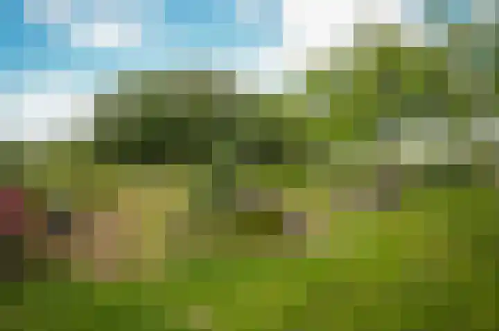 Rijnbandijk 26 Opheusden thumbnail 54