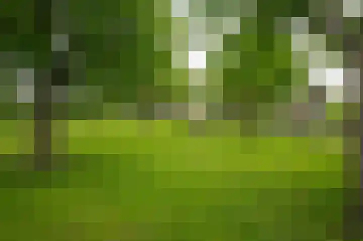 Rijnbandijk 26 Opheusden thumbnail 55