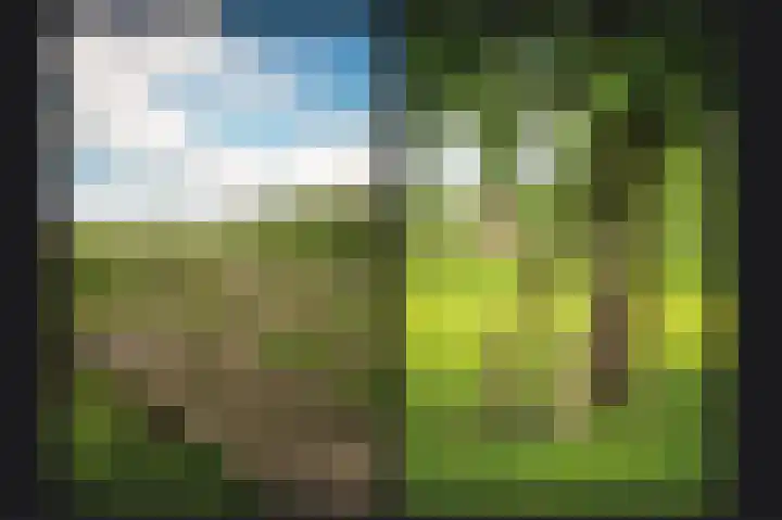 Rijnbandijk 26 Opheusden thumbnail 56