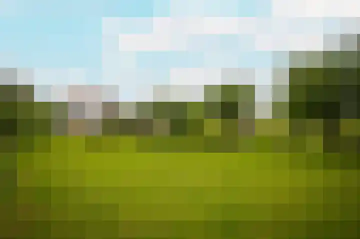 Rijnbandijk 26 Opheusden thumbnail 57