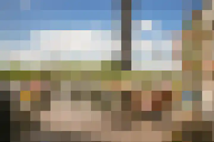 Rijnbandijk 26 Opheusden thumbnail 6