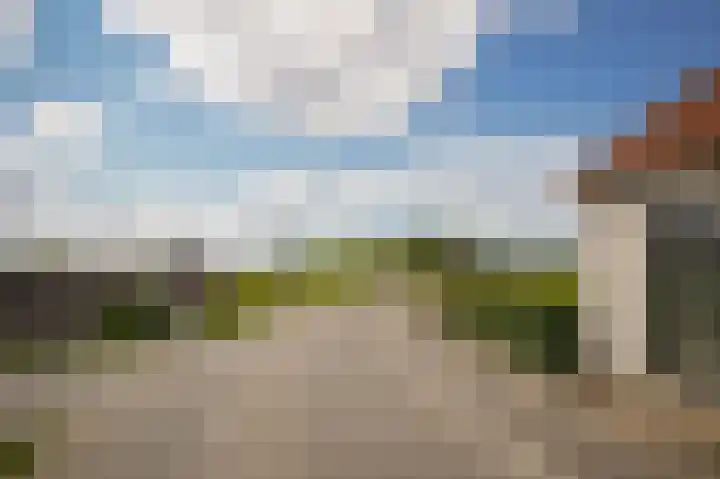 Rijnbandijk 26 Opheusden thumbnail 60