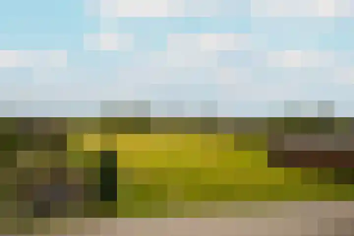 Rijnbandijk 26 Opheusden thumbnail 61