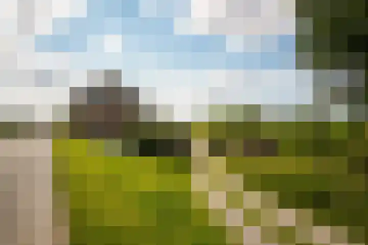 Rijnbandijk 26 Opheusden thumbnail 62