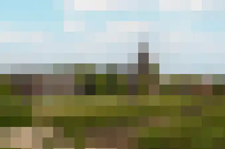 Rijnbandijk 26 Opheusden thumbnail 63