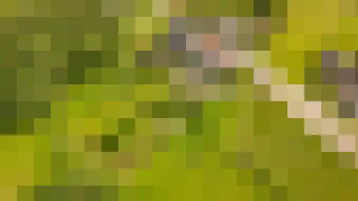 Rijnbandijk 26 Opheusden thumbnail 64