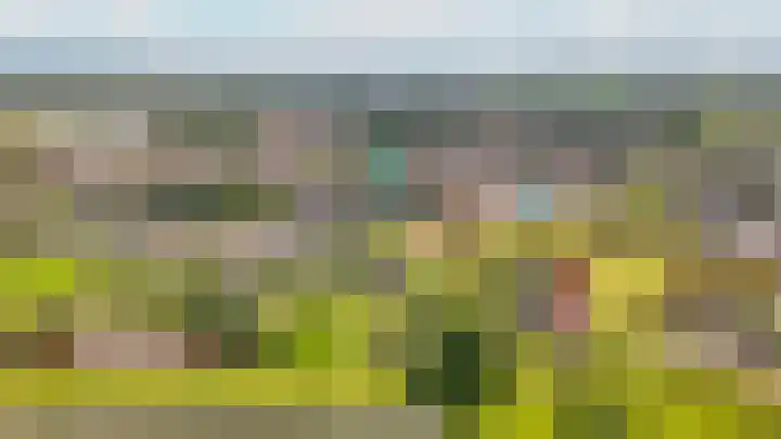Rijnbandijk 26 Opheusden thumbnail 65
