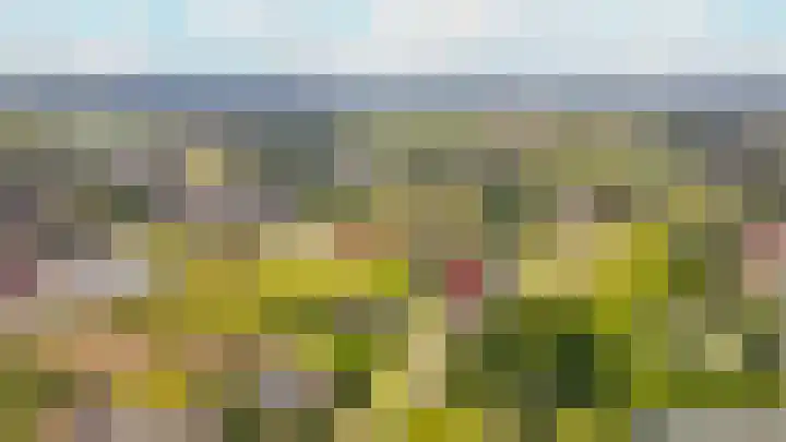 Rijnbandijk 26 Opheusden thumbnail 66