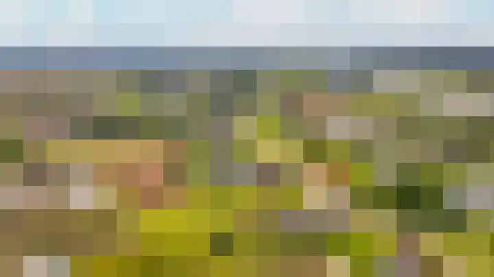 Rijnbandijk 26 Opheusden thumbnail 67
