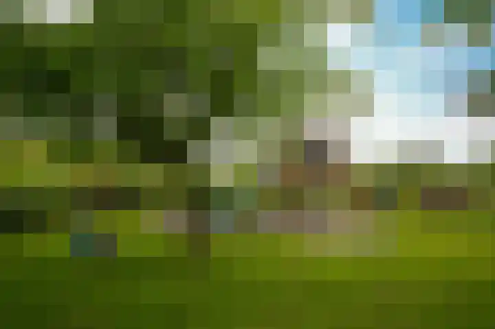 Rijnbandijk 26 Opheusden thumbnail 7