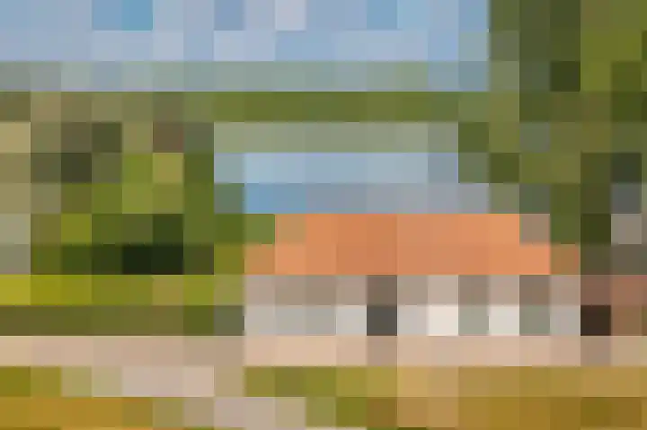 Rijnbandijk 26 Opheusden thumbnail 71