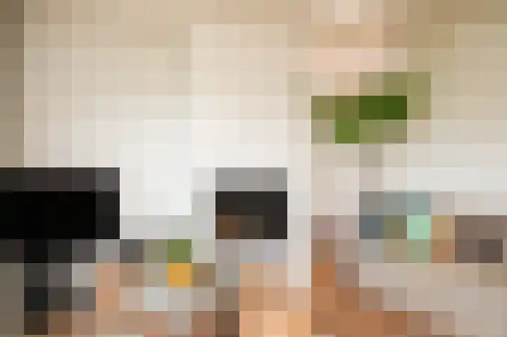 Rijnbandijk 26 Opheusden thumbnail 9