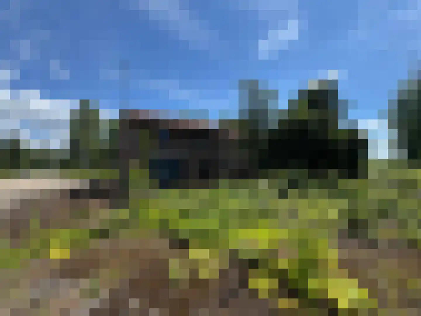 Rijnbandijk 28 Maurik thumbnail 11