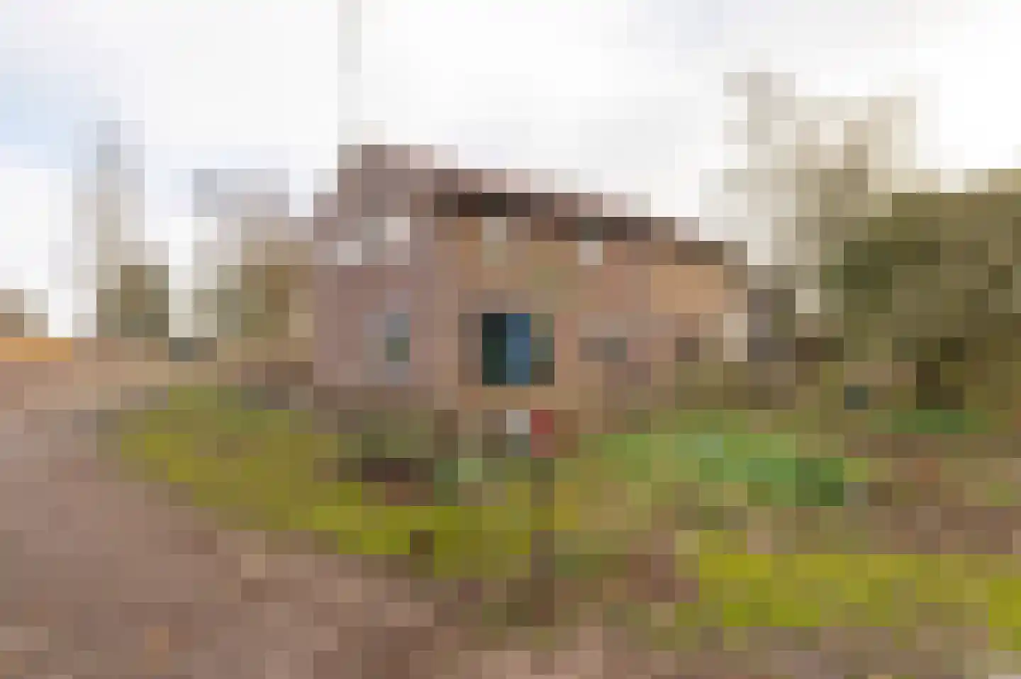 Rijnbandijk 28 Maurik thumbnail 5