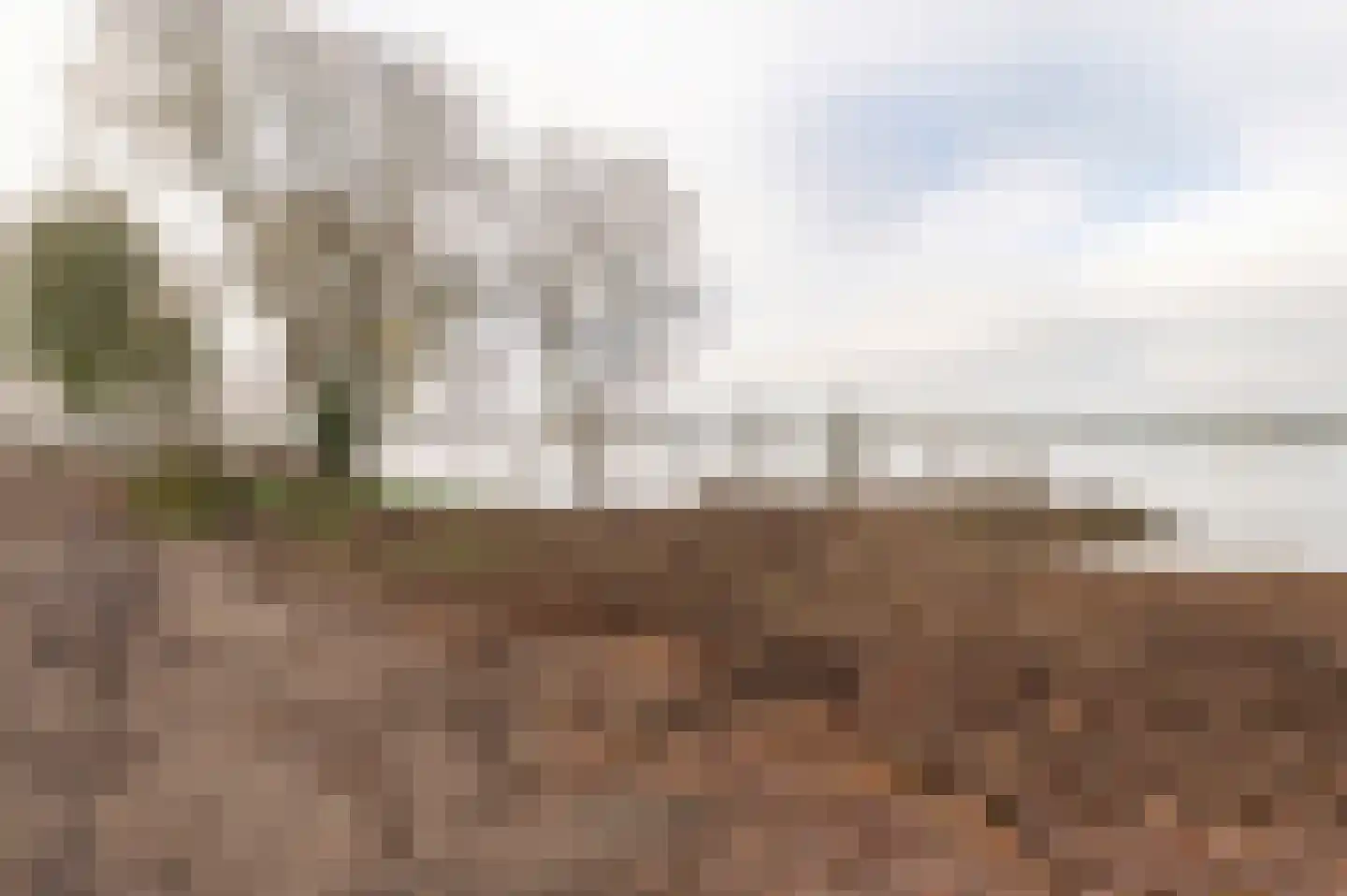 Rijnbandijk 28 Maurik thumbnail 7