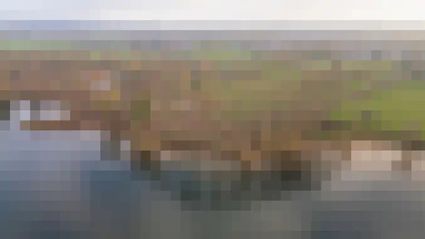 Rijnbandijk 28 Maurik thumbnail 8
