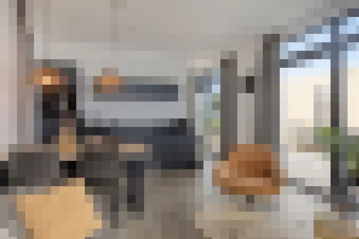 Rijnbandijk 36 26 Maurik thumbnail 10