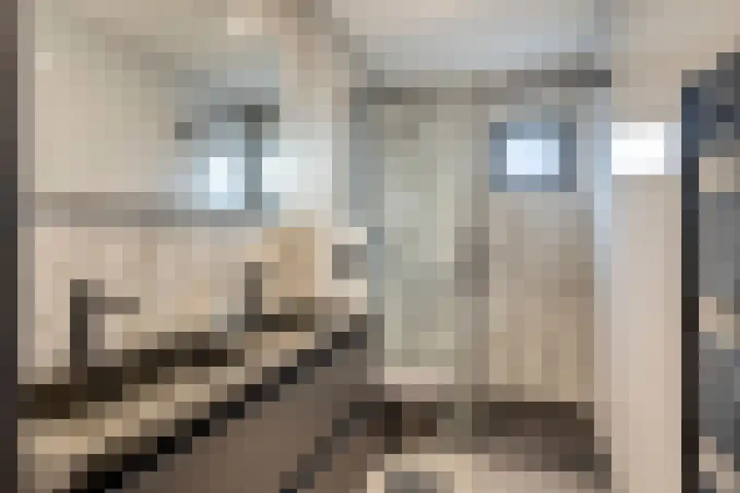 Rijnbandijk 36 26 Maurik thumbnail 14