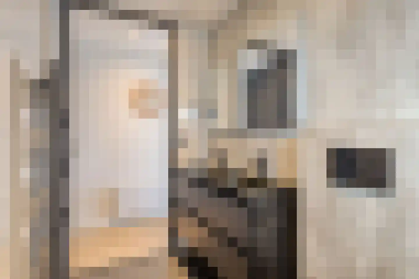 Rijnbandijk 36 27 Maurik thumbnail 10