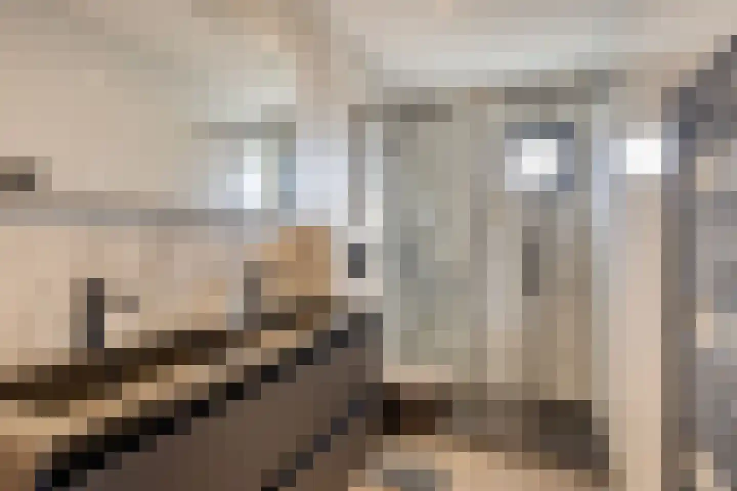 Rijnbandijk 36 27 Maurik thumbnail 9