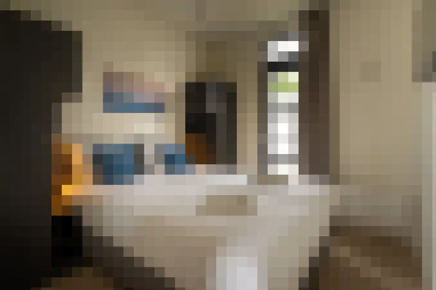 Rijnbandijk 36 59 Maurik thumbnail 15