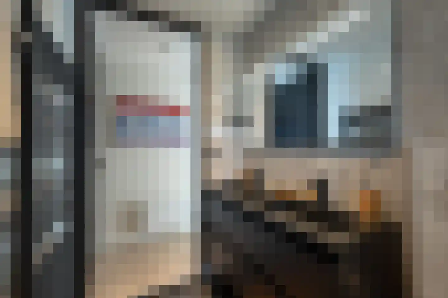 Rijnbandijk 36 59 Maurik thumbnail 19