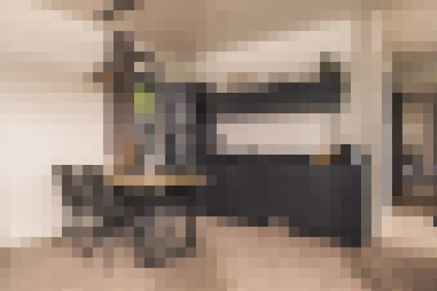 Rijnbandijk 36 59 Maurik thumbnail 7