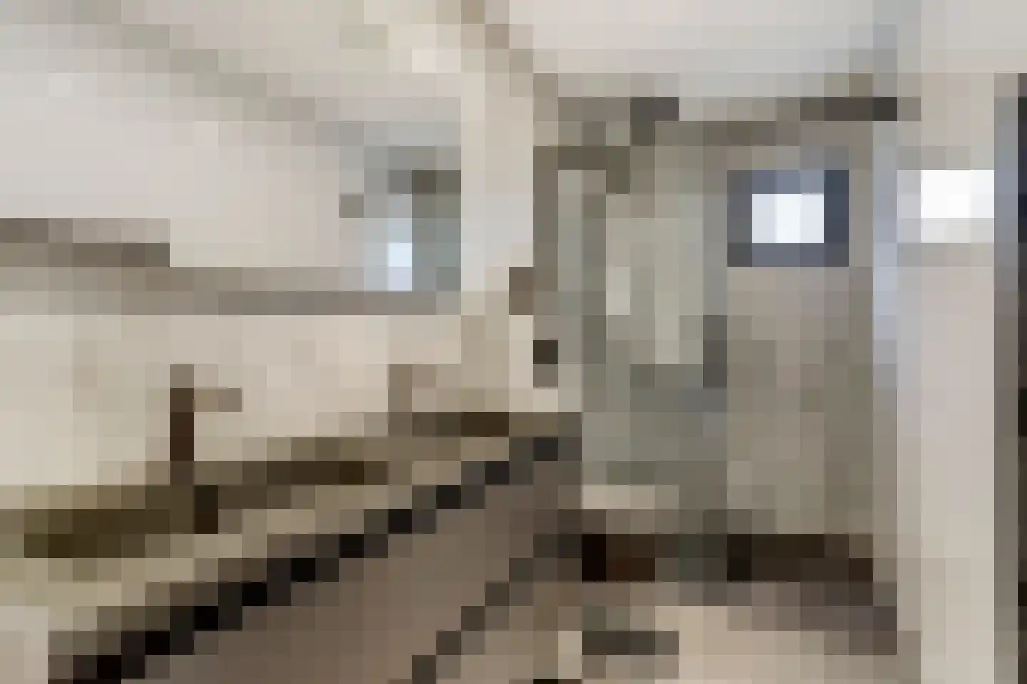 Rijnbandijk 36 65 Maurik thumbnail 16