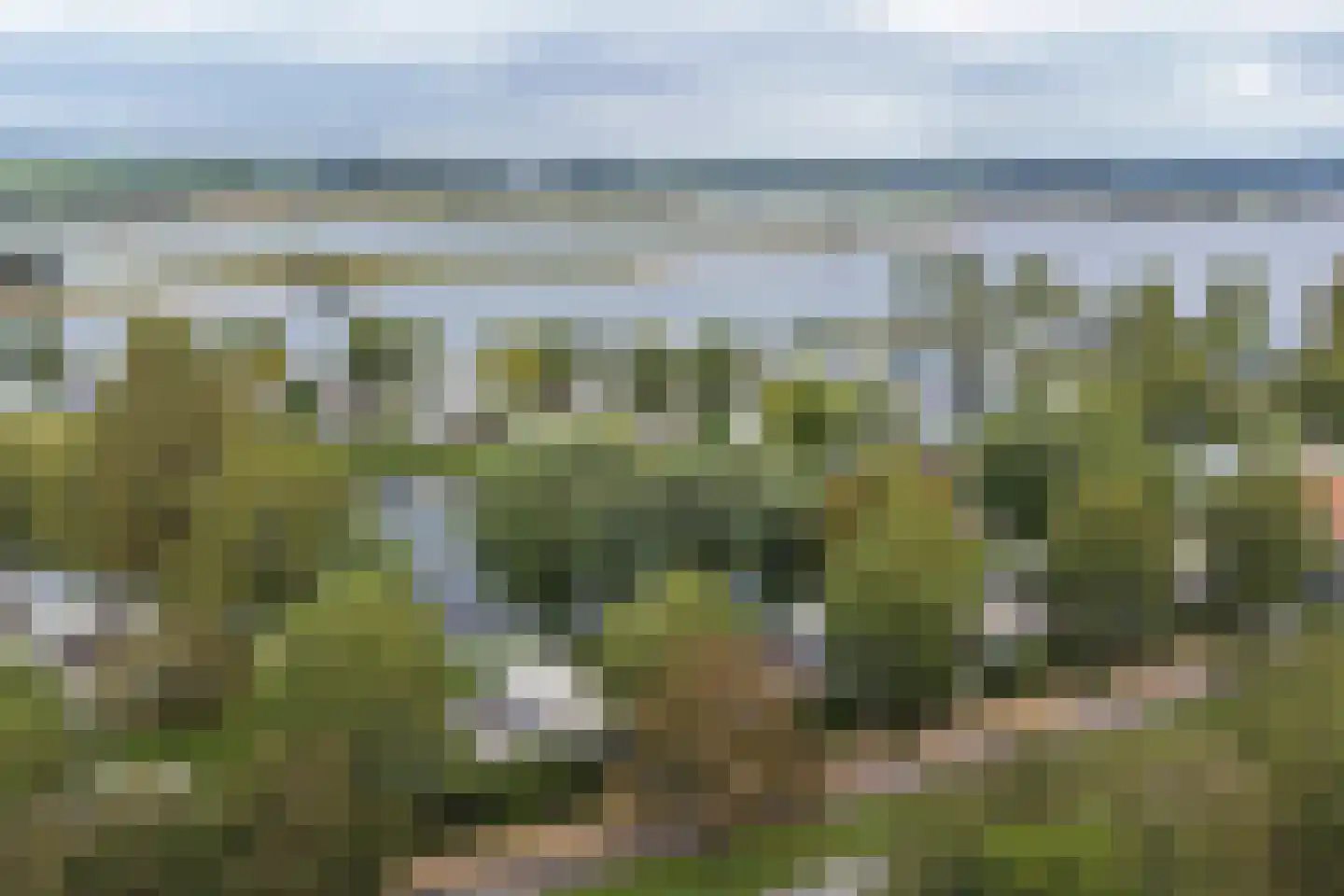 Rijnbandijk 36 65 Maurik thumbnail 22
