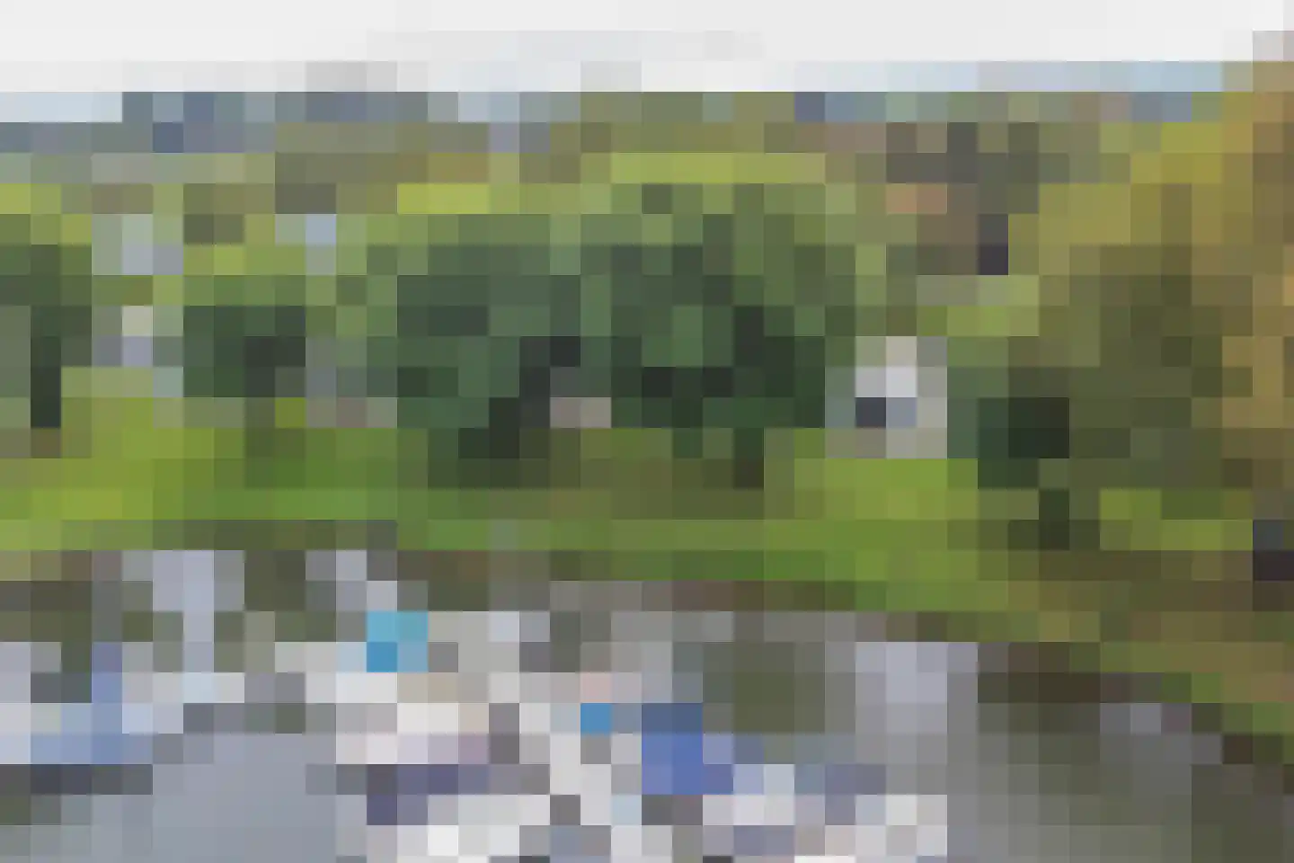 Rijnbandijk 36 65 Maurik thumbnail 24