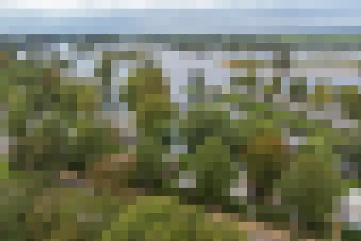 Rijnbandijk 36 65 Maurik thumbnail 25