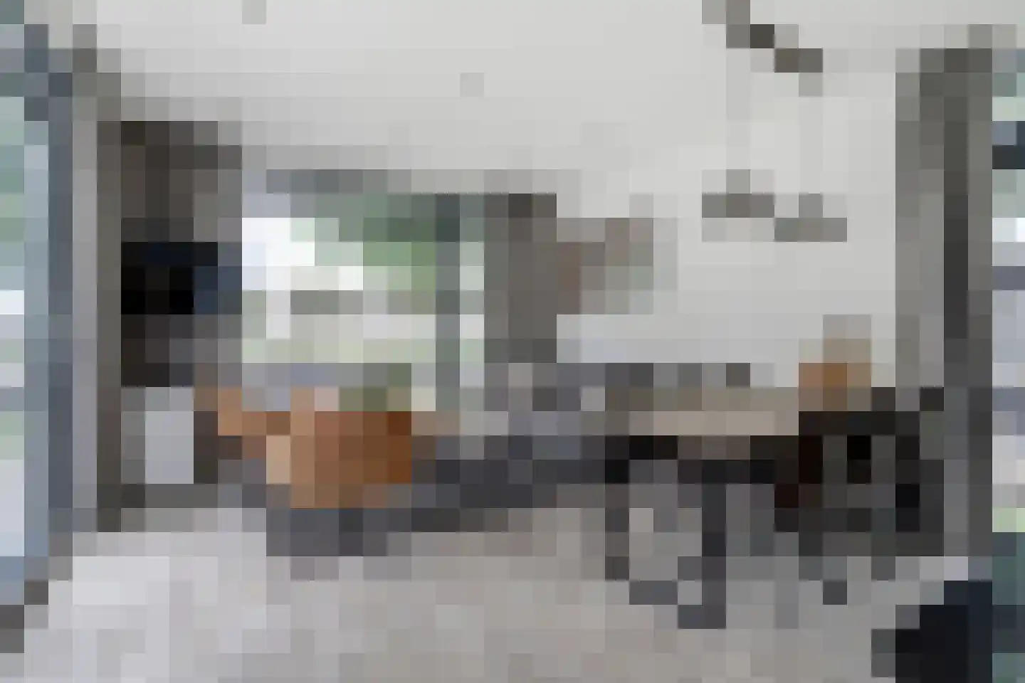 Rijnbandijk 36 65 Maurik thumbnail 4