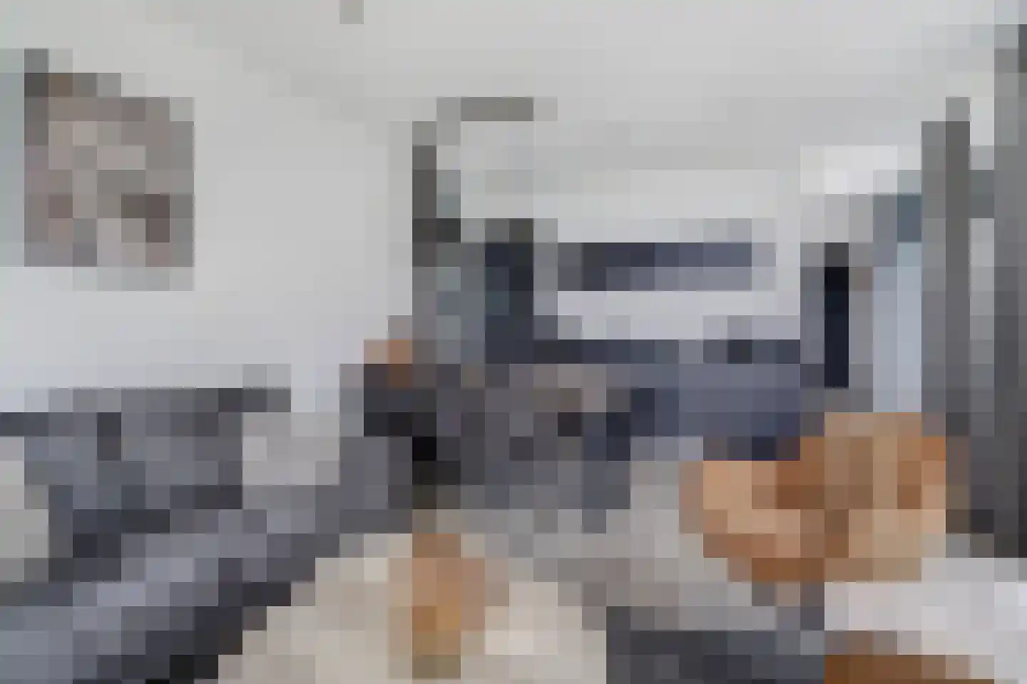 Rijnbandijk 36 65 Maurik thumbnail 6