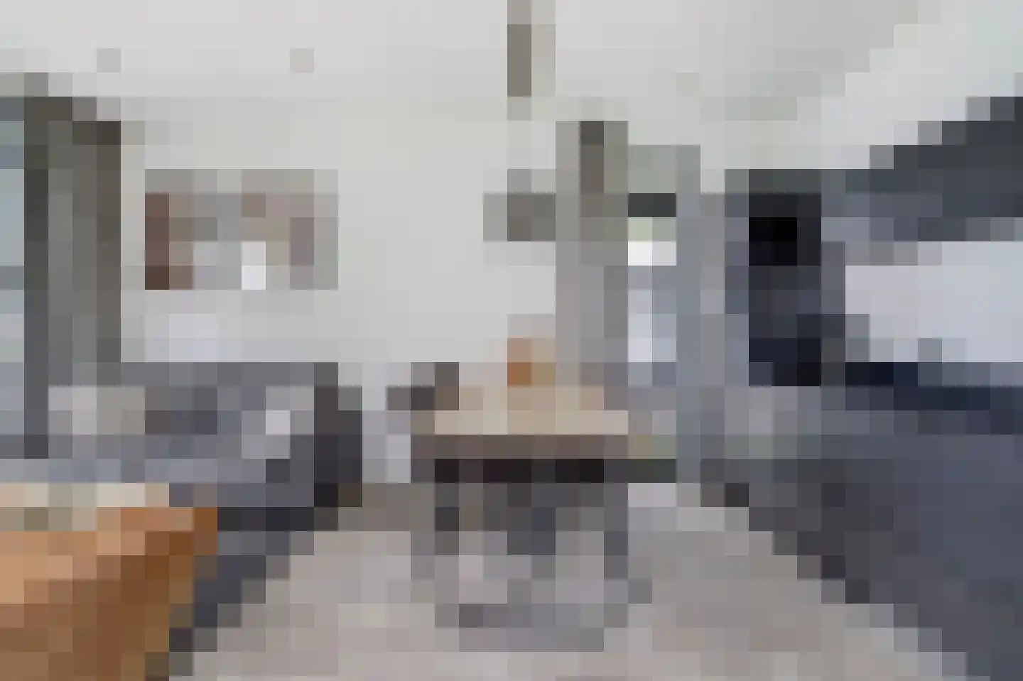 Rijnbandijk 36 65 Maurik thumbnail 7