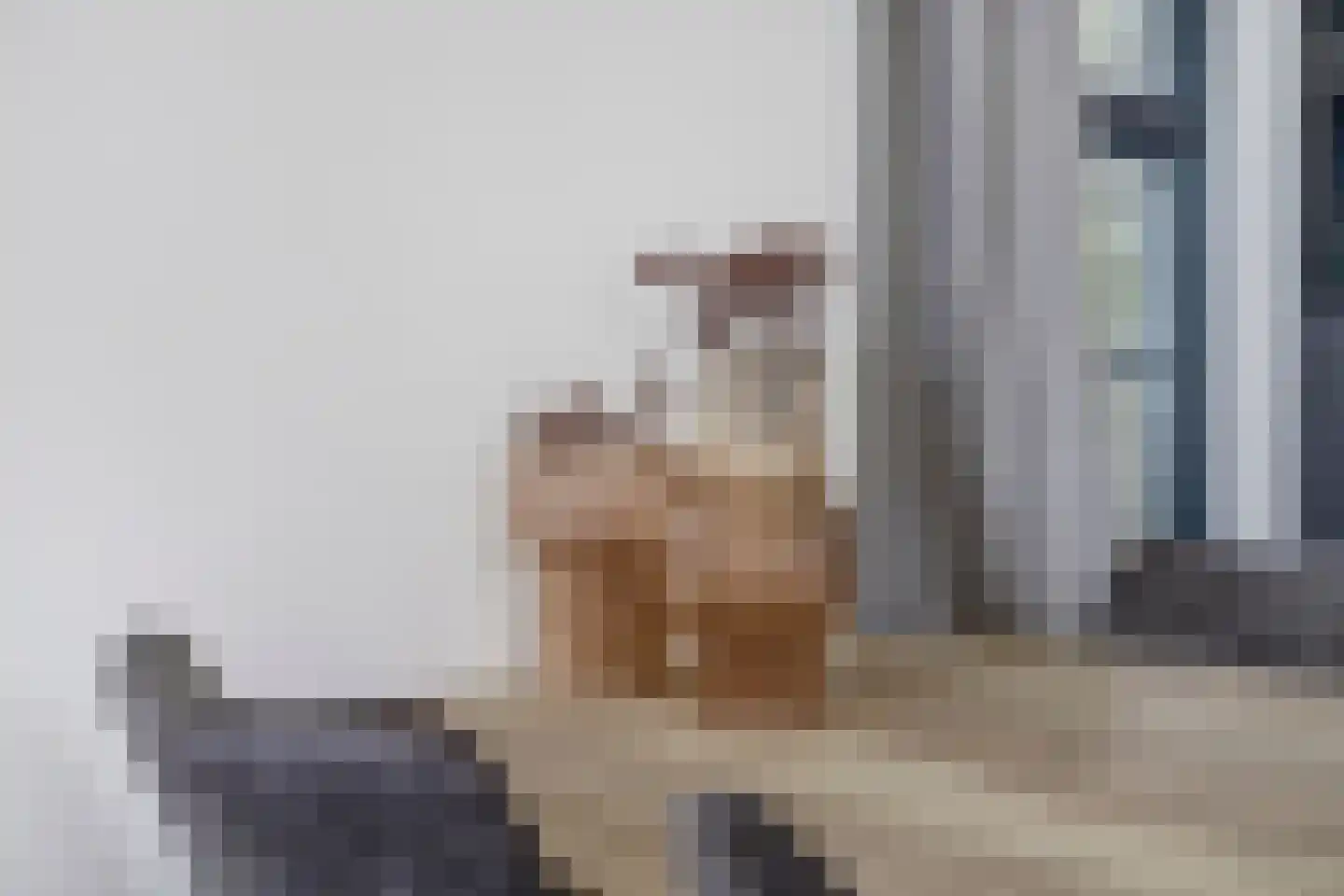 Rijnbandijk 36 65 Maurik thumbnail 8