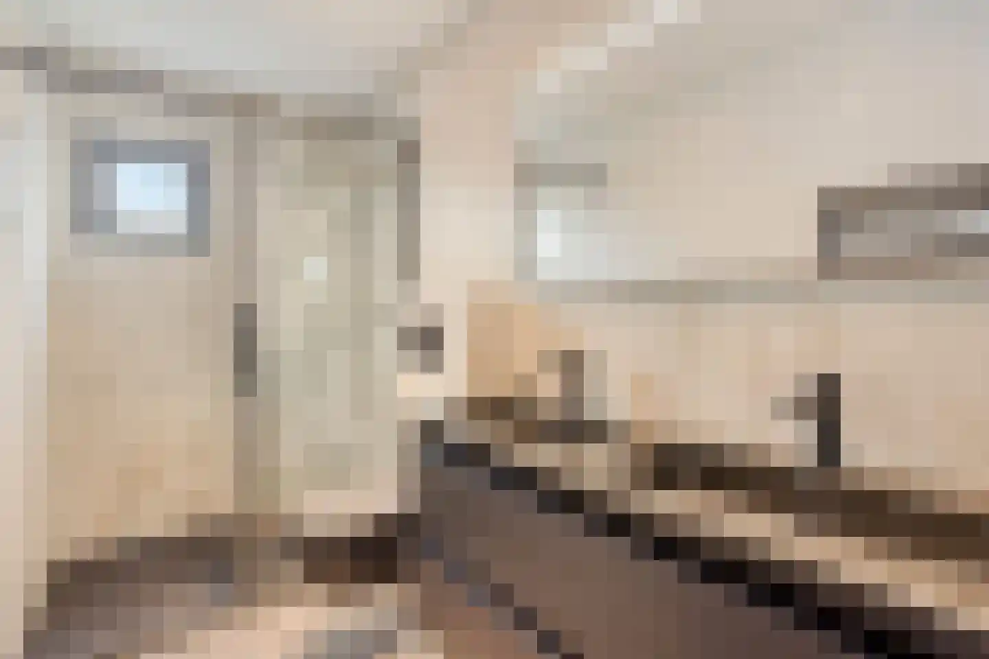 Rijnbandijk 36 75 Maurik thumbnail 12